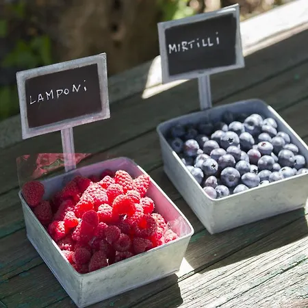 Rossolampone Alojamento de Turismo Rural