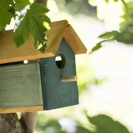 Rossolampone Alojamento de Turismo Rural San Bernardino Verbano
