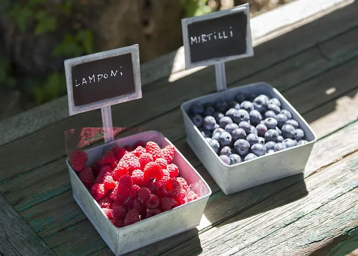 Rossolampone Feriegård