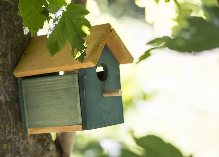 Rossolampone Feriegård San Bernardino Verbano