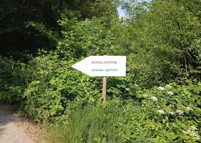 Rossolampone